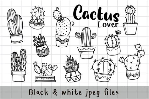 Doodle Cactus Cliparts Succulent Clipart Set House Plants Clipart