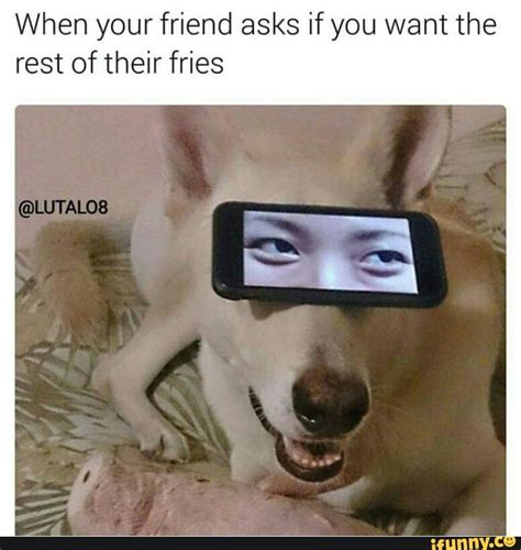 Wtf Haha Lol Dog Doggo Funny Best Funny Pictures Edgy Memes