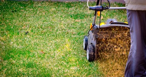 Lawn Aeration What Is It And Why You Should Do It A Green