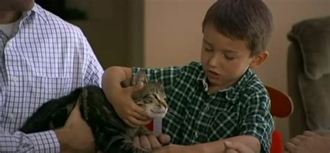 ‘super Cat Saves Boy From Dog Attack In California