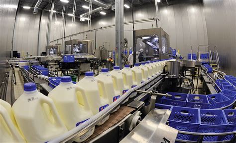 Dairy Industry Milk Production Filtration System In India Usa Brazil