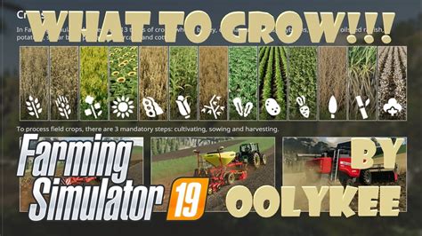 Farming Simulator 19 Tip 2 Which Crop To Grow Youtube