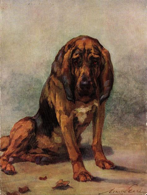 1930s Antique Bloodhound Dog Art Print Vintage Maud Earl Etsy Dog