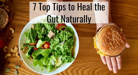 7 Top Tips To Heal The Gut Naturally Fwdfuel Sports Nutrition