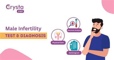 Male Fertility Tests Symptoms Diagnosis And Treatment