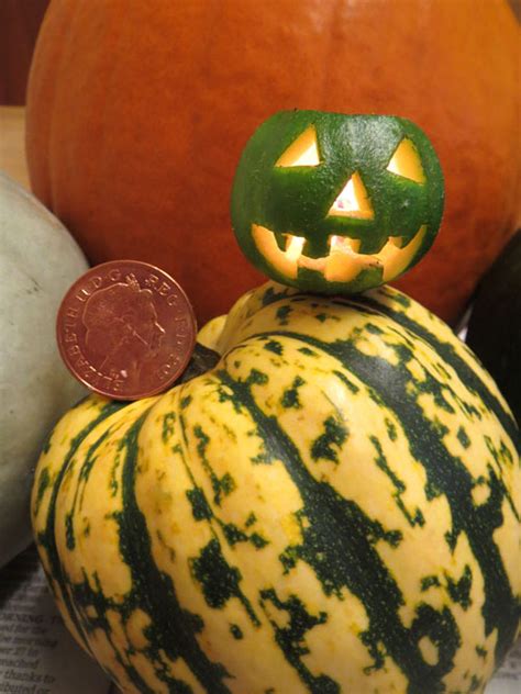 The Worldss Smallest Carved Pumpkin