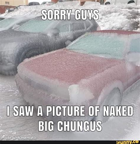 SORRYGUYS TSAW A PICTURE OF NAKED BIG CHUNGUS IFunny