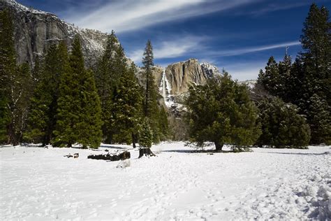 Naturetastic Blog El Portal Road And Southside Drive Part 1 Yosemite
