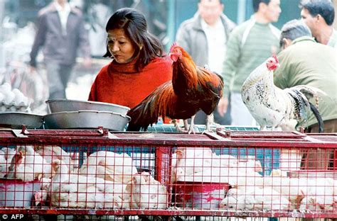 Chicken Prices Soar Up By Sixty Per Cent In Delhi As Feed Prices