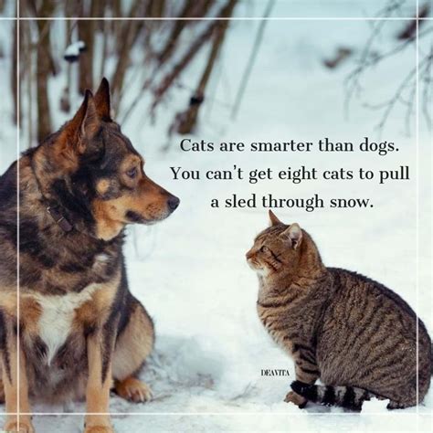 Cats Vs Dogs Quotes And Funny Sayings For Your Beloved Pets