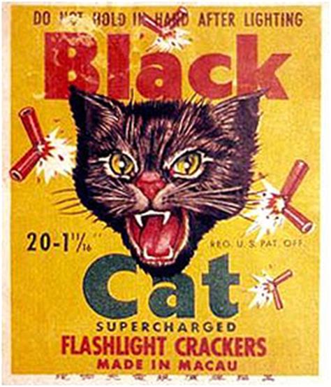 There are 120 black cat fireworks for sale on etsy, and they cost $27.79 on average. Celebrate the fourth in retro style! • Modern Charlotte ...