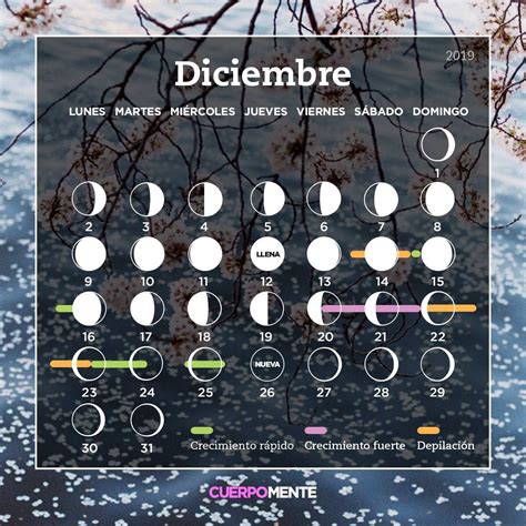 Calendario Lunar 2019 Corte De Pelo Siembra Y Depilación Calendario