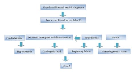 Pathogenesis Of Myxedema Crisis Download Scientific Diagram