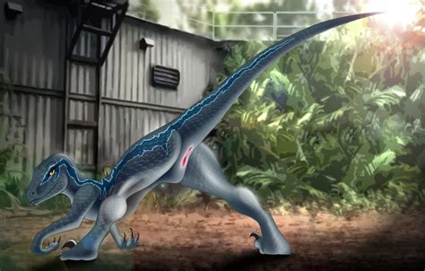 Rule 34 2015 Bent Over Blue Jurassic World Claws Dinosaur Female Feral Jake Dragon Jurassic