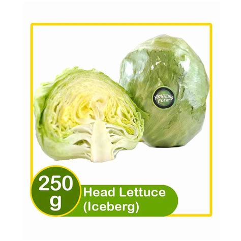 Amazing Farm Head Lettuce Iceberg Klik Indomaret