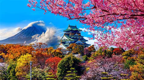 Download Osaka Castle And Fuji Mountain Wallpaper