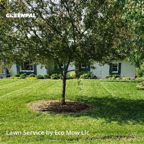 Lawn services, pest control, tree services. The 10 Best Lawn Care Services in Indianapolis, IN from $39