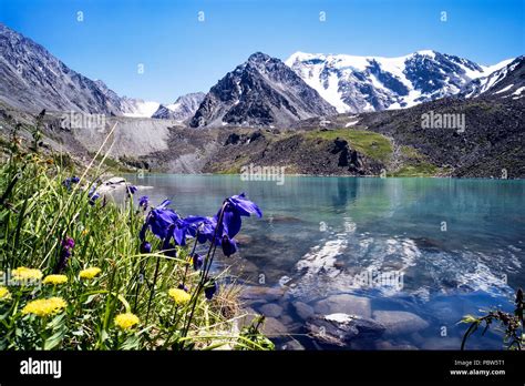 Small Mountain Lake With Blooming Flowers On Foreground Beautiful