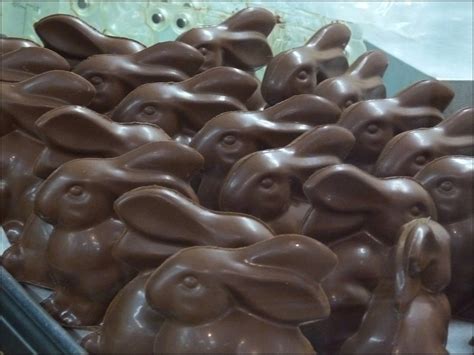 Chocolate Bunnies Free Stock Photo Public Domain Pictures