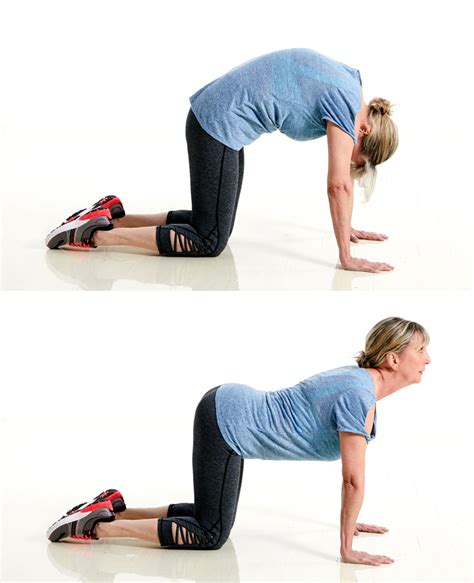 Top Images Cat Cow Exercise For Pregnancy Exercises For Pregnant