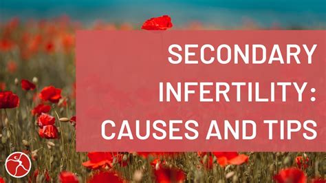 Unveiling Secondary Infertility Causes And Natural Solutions Youtube