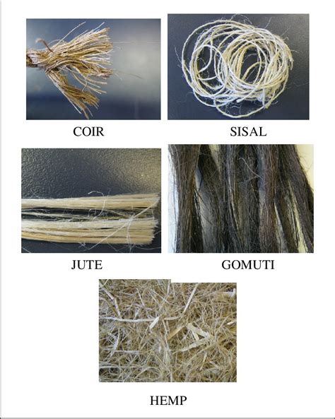 Pictures Of Several Natural Fibres Download Scientific Diagram