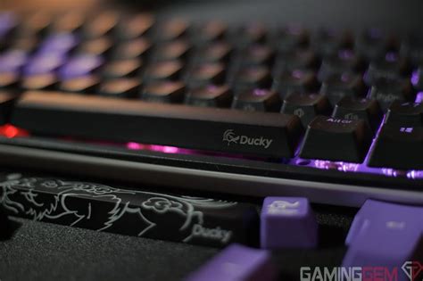 Sorta bothersome that they still don't support their own 65% keyboards. Ducky One 2 Mini vs Anne Pro 2 - Comparison Review - GamingGem