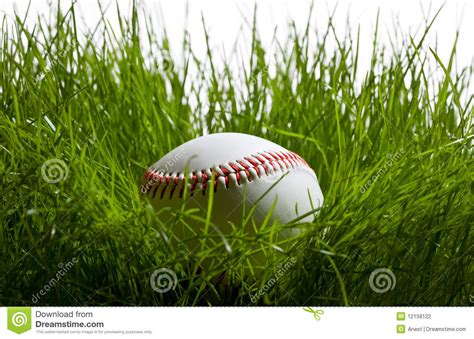 Baseball In The Grass Stock Photo Image Of Leisure Growth 12158122