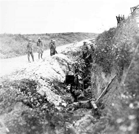 The Somme Royal Newfoundland Regiment In The First World War