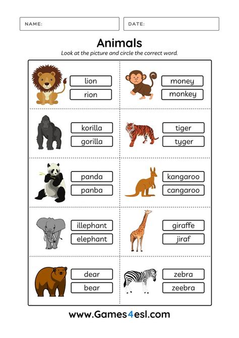 Animals Worksheets Animal Worksheets Esl Worksheets For Beginners