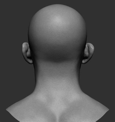 Male Head Collection 3d Model Cgtrader