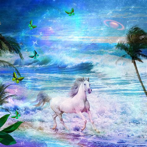 Enchanted Horse Photograph By Mgl Meiklejohn Graphics Licensing Fine