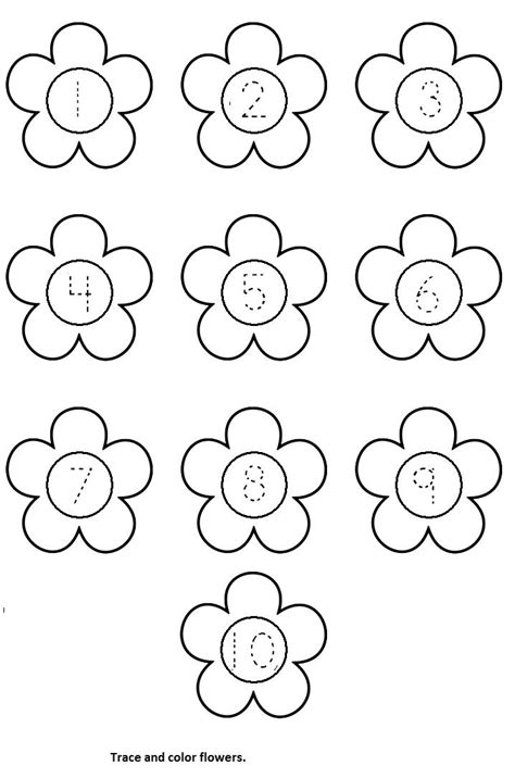 Flower Worksheet For Kids