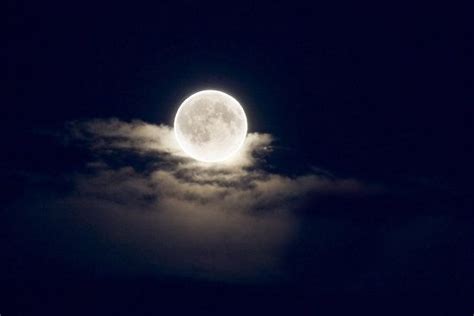 Mystical Moon Moon Mystic Nature