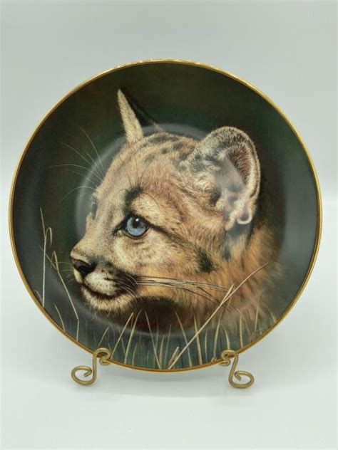 princeton gallery cubs of the big cats plate collection mint ebay