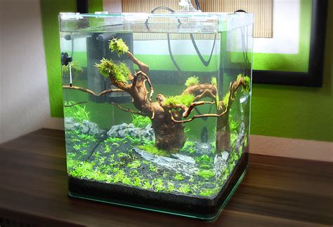 Ya ikan hias kecil merupakan solusi untuk para pecinta ikan hias. 60 Model Akuarium Kecil Cocok Untuk Hiasan Kamar Tidur ...