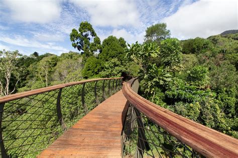 A Lofty Walkway Design Indaba