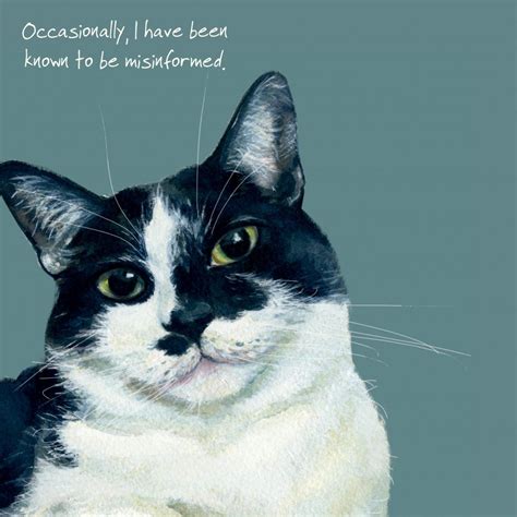 1080x1080 Cat Sad Cats Album On Imgur Natalie Daily Blogs