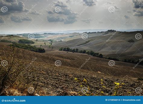 Tuscan Landscape Of The Sienese Hills Stock Photo Image Of Europe