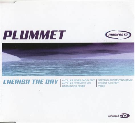 Plummet Cherish The Day 2004 Cd Discogs