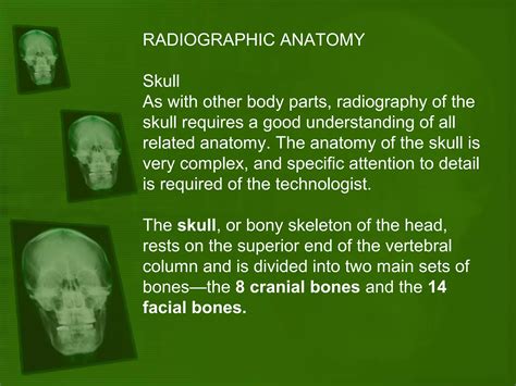 Positioning And Radiographic Anatomy Of The Skull