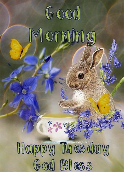 Pin By Helen Christie On Day3 Tuesday Blessings Good Morning Happy