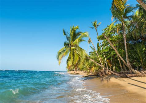 What To Do In Puerto Viejo Costa Rica