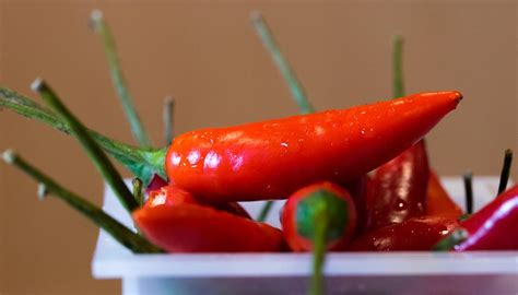 Chili Peppers Could Help You Live Longer Study Newshub