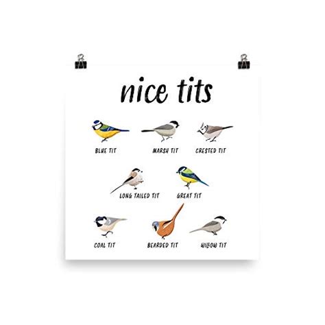 Best Nice Tits Bird Poster