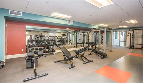 The Fitness Center Is Equipped With Both Free And Machine Weights