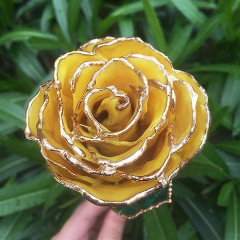 Yellow 24k Gold Dipped Rose