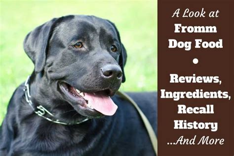 The company has been around for more than a century. Fromm Dog Food Reviews, Ingredients, Recall History and ...
