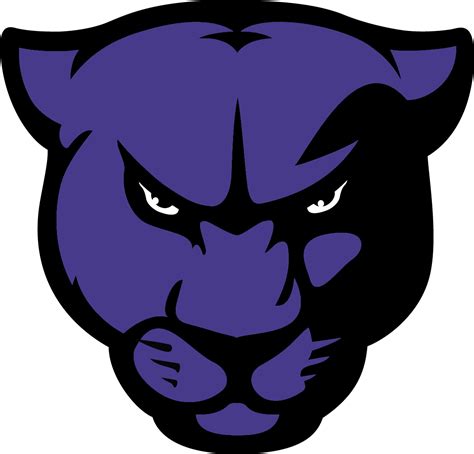 Purple Panther Logo Transborder Media