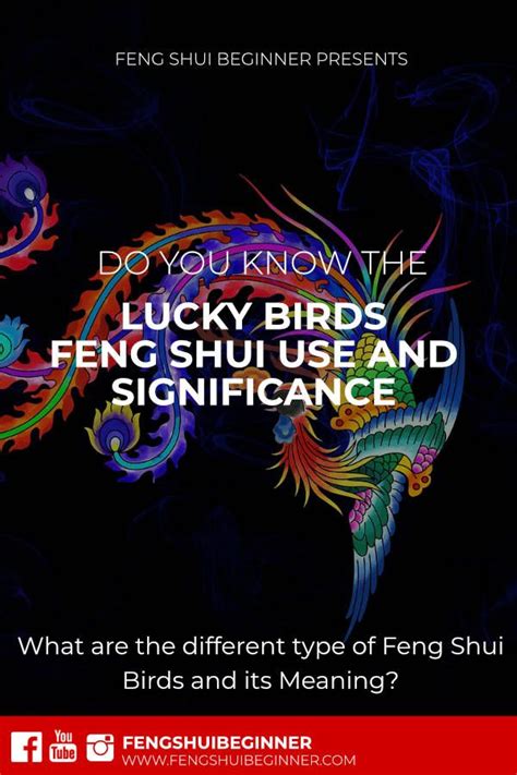 Feng Shui Birds Symbol And Meaning Behind It Feng Shui Beginner